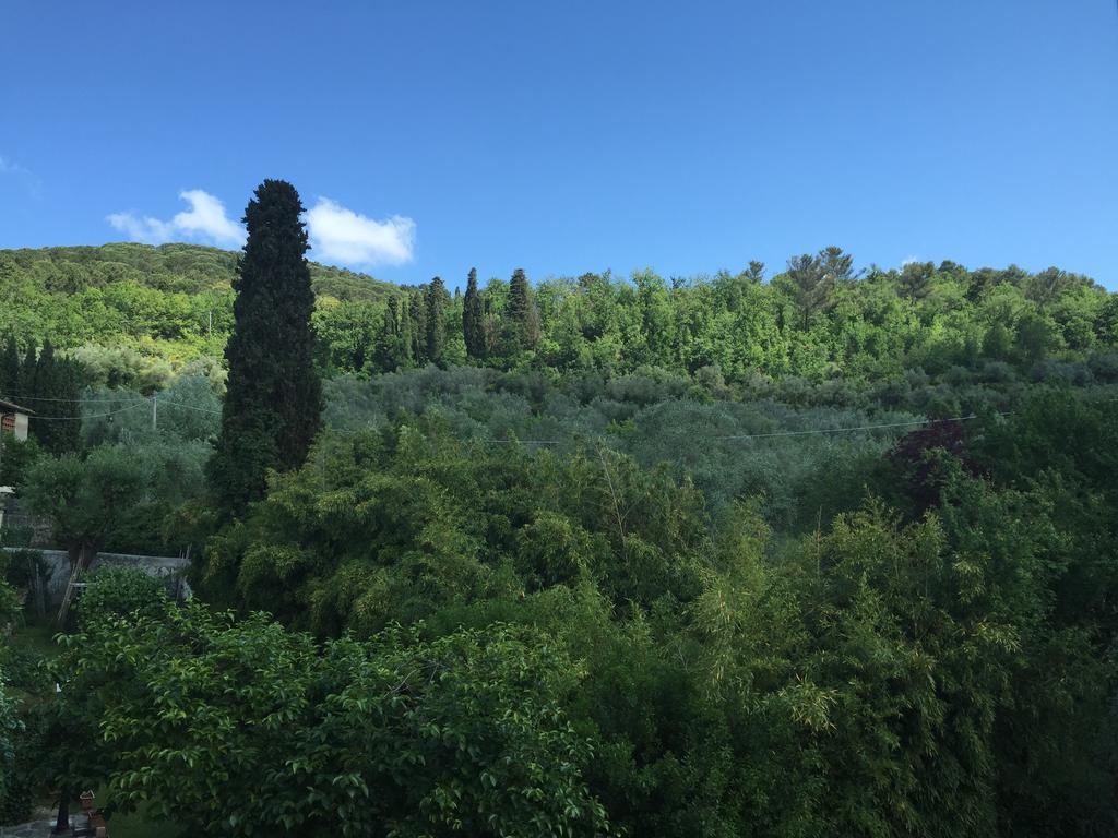 Villa Nobili B&B באנו א-ריפולי מראה חיצוני תמונה