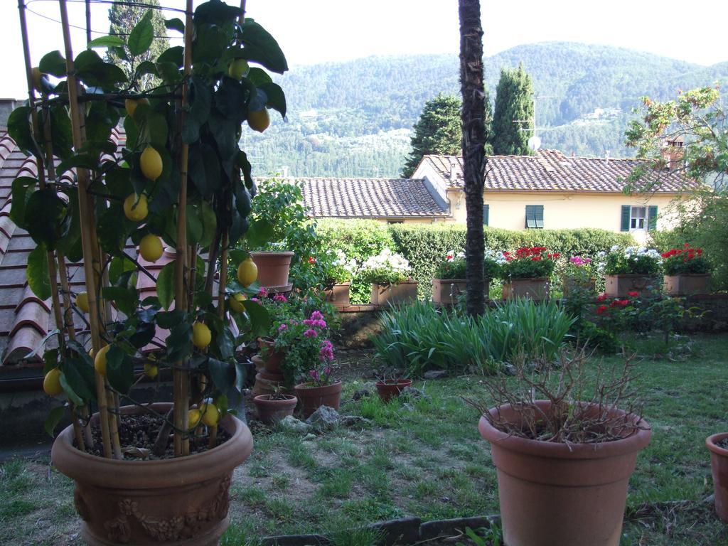 Villa Nobili B&B באנו א-ריפולי מראה חיצוני תמונה