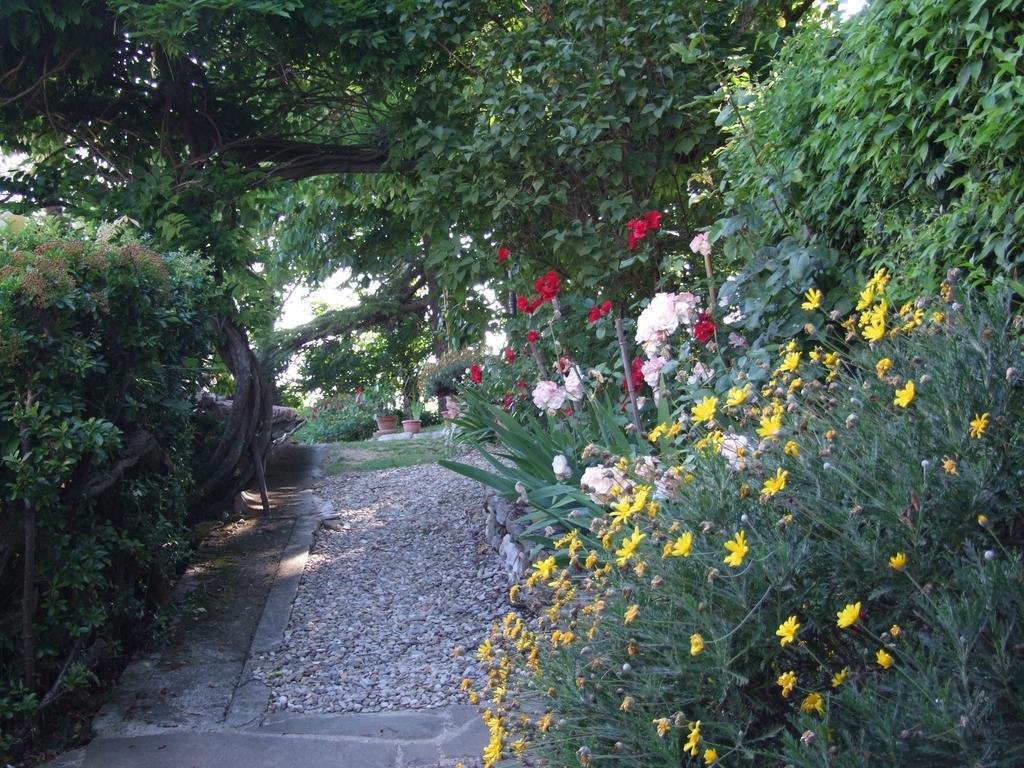 Villa Nobili B&B באנו א-ריפולי מראה חיצוני תמונה