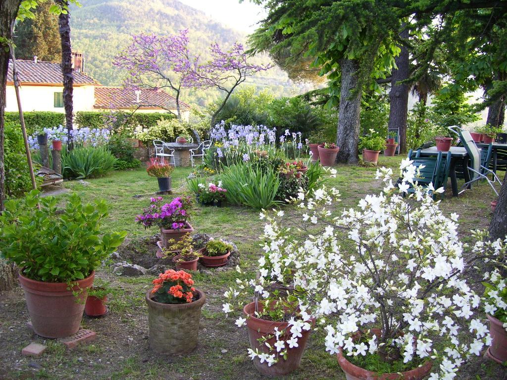 Villa Nobili B&B באנו א-ריפולי חדר תמונה